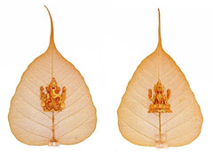 Diwali Ganesha + Laxmi Classic Peepal
