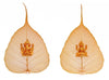Diwali Ganesha + Laxmi Classic Peepal