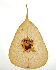 Ambemata Peepal