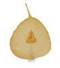 Buddha Peepal
