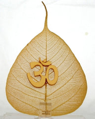 OM Symbol Peepal