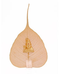 Shiva Peepal