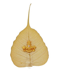 Tirupati Balaji Face Peepal (Medium size)